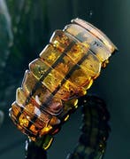 Amber Prachtige vintage zeldzaam gekleurde Baltische amber