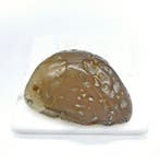 Water agaat - Enhydro Agaat (zie filmpje), Verzamelen, Ophalen of Verzenden