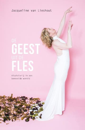De geest uit de fles - Jacqueline Van Lieshout 9789082500745, Boeken, Verzenden, Zo goed als nieuw, Jacqueline Van Lieshout