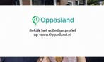 Claire zoekt een oppas in Haarlem voor 2 kinderen op zate...