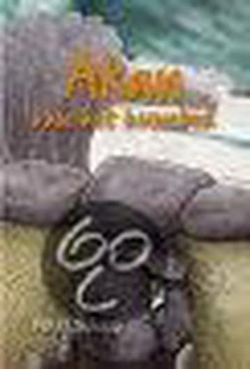 Akan van het hunebed 9789065093189 Peter Schaap, Boeken, Verzenden, Zo goed als nieuw, Peter Schaap