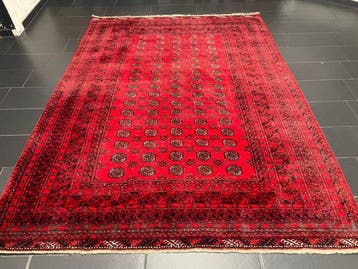 Klassieke Afghaan, Sovjet-Unie, Boekhara - Tapijt - 300 cm -, Nieuw