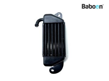 Oliekoeler BMW R 850 C (R850C) Left (1342207), Verzenden, Gebruikt
