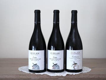 2019 x2 Flora & 2015 Trattmann, Girlan - Trentino Alto Adige, Nieuw