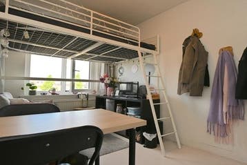 Kamer Hoornsediep in Groningen, 20 tot 35 m², Groningen