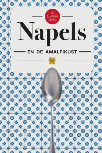 De zilveren lepel - Napels en de Amalfikust 9789000355679, Verzenden, Gelezen
