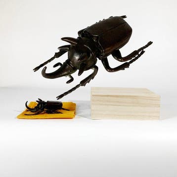 Kabutomushi Beetle Kd Ornament - sculptuur Brons - Japan