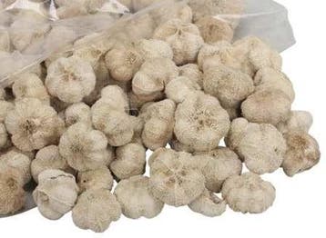 Beachfruit paras peepal mini pompoentjes gebleekt wit ca., Ophalen of Verzenden, Nieuw