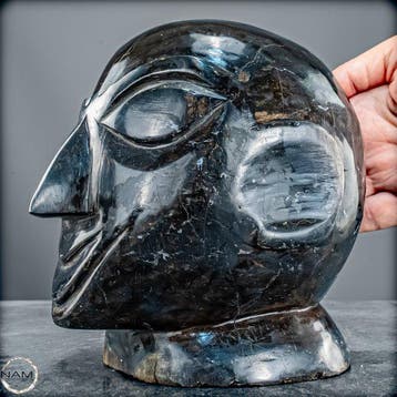 Met de hand gesneden schedel van versteend hout – Unieke