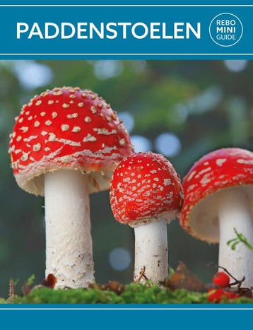 Paddenstoelen (Goed), Verzenden, Nieuw, Gerrit Jan Keizer