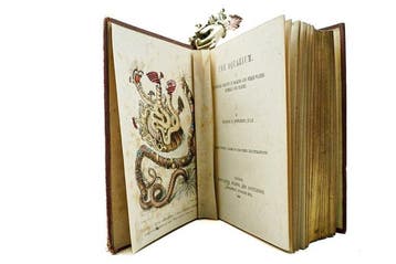 George B. Sowerby - The aquarium. A popular account of, Antiek en Kunst