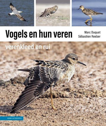 Vogels en hun veren - Marc Duquet 9789050117678, Verzenden, Zo goed als nieuw, Marc Duquet
