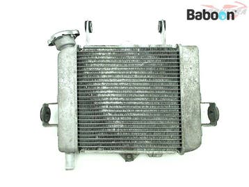 Radiateur Suzuki GSX S 125 2017-2019 (GSXS125), Verzenden, Gebruikt