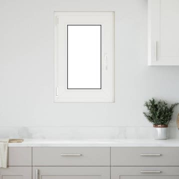 vidaXL Kantel- en draaivenster voor de kelder RISOR 50 x 75, Verzenden, Nieuw