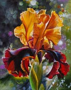 Alexander Nakonechnyi (XX-XXI) -