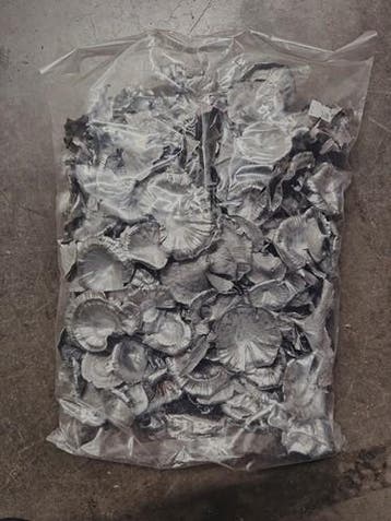 Golden Mushroom Zilver Paddenstoel 250 gram, Ophalen of Verzenden, Nieuw