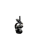 Stereo microscope - trinocular head - 1950-1960 - Zeiss