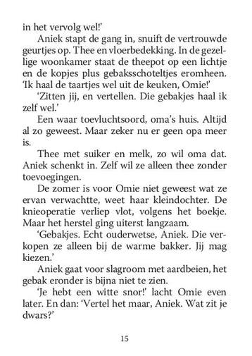 Het licht breekt door 9789036429566 Julia Burgers-Drost, Verzenden, Gelezen, Julia Burgers-Drost