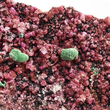 Zeer zeldzame kolweziet groen op kobalto-calciet fuchsia