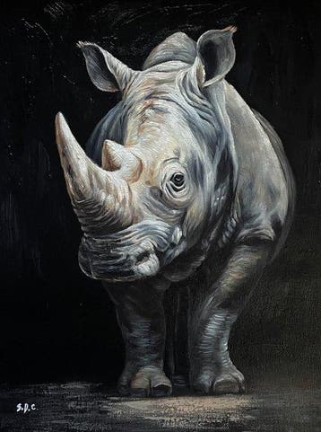 Silvano De Caris (1991) - Pelle di pietra, Antiek en Kunst, Kunst | Schilderijen | Modern