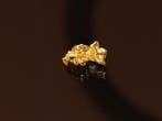 Glinsterend sieraadje om direct te kopen - Gouden nugget -