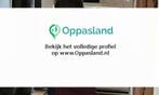 Saphira zoekt een oppas in Doetinchem voor 2 kinderen voo..., Vacatures, Vacatures | Klantenservice en Callcenter