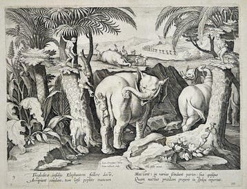 Johannes Stradanus (1523-1605) - Troglodyte Elephant Hunt /