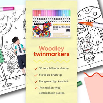 Woodley Dubbelzijdige Stiften Voor Volwassenen en Kinderen -, Ophalen of Verzenden, Zo goed als nieuw