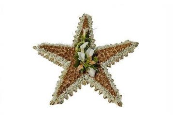 OASIS® Bioline Ster 30 × 30 × 4,5 cm oase voor verse bloemen, Ophalen of Verzenden, Nieuw