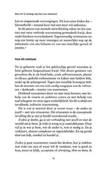 Waar wil ik vandaag mijn bed voor uitkomen?, Ophalen of Verzenden, Nieuw