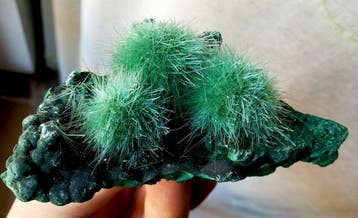 Aciculair groen magnesium Kristallen op matrix - Hoogte: 10