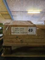 Parlapan 150x68x12cm (kjh49), Minder dan 25 mm, Nieuw, Ophalen of Verzenden, Plank