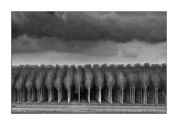 Sergio Sberna - Terre basse