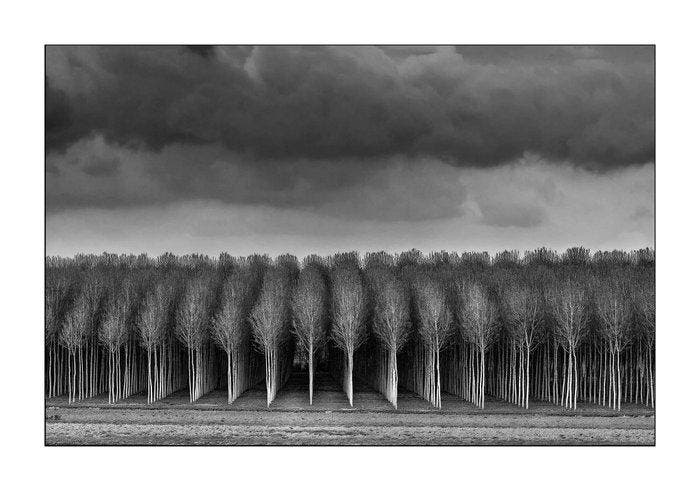 Sergio Sberna - Terre basse, Antiek en Kunst, Kunst | Designobjecten