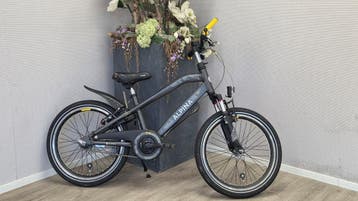 Alpina Trial J20 Space Black Matt, Ophalen, Terugtraprem, Gebruikt, Alpina
