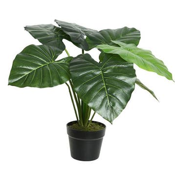 Kunstplant Taro | Decoris | 52 cm (In pot, Ø 69 cm), Verzenden, Nieuw