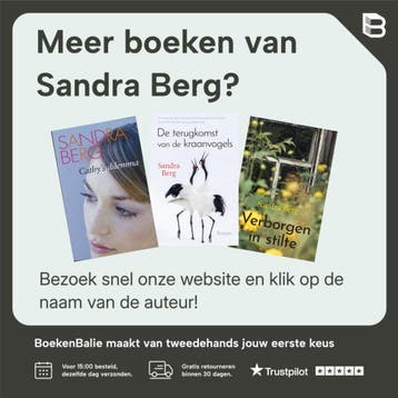 Toen hij verdween - Sandra Berg 9789020553536, Verzenden, Zo goed als nieuw, Sandra Berg