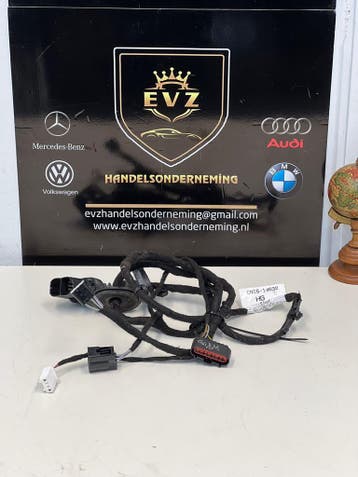 Ford Ecosport kabelboom portier rechts achter bj.2015, Auto-onderdelen, Gebruikt, Ford