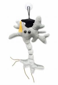 Giant Microbes Brain cell graduation (hersencel met bare..., Nieuw