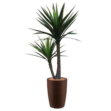 Yucca kunstplant, H200cm, Ophalen of Verzenden, Overige soorten, 200 cm of meer
