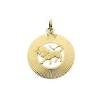 Fabiola gouden sterrenbeeld hanger; Leeuw (Hanger of bedel), Ophalen of Verzenden, Gebruikt, Goud, Overige merken