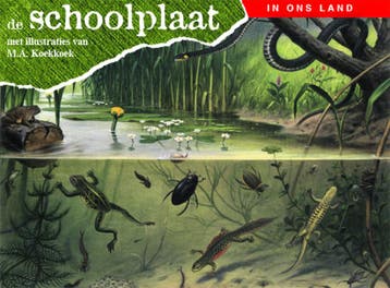 De schoolplaat / In ons land 9789075531343, Boeken, Verzenden, Gelezen