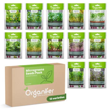 Microgreens  (Babyleaf &  Microleaf) Pakket -  12 Soorten, Verzenden, Gehele jaar, Volle zon