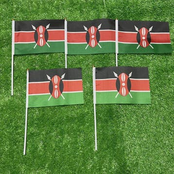 Kenya Handvlag met Plastic Stok - 21x14cm - Ideaal voor Spor, Verzenden, Nieuw