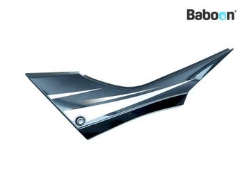 Buddypaneel Links Kawasaki Z 300 2013-2017 (Z300 Z300A-B), Verzenden, Gebruikt