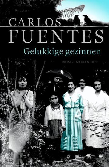 Alle gelukkige gezinnen - Carlos Fuentes 9789029079396, Verzenden, Gelezen, Carlos Fuentes