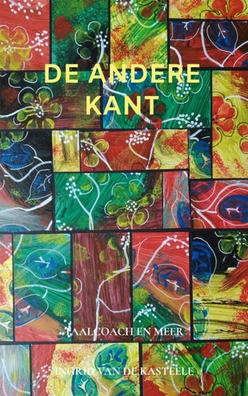 De andere kant - Ingrid van de Kasteele 9789402177794, Verzenden, Zo goed als nieuw, Ingrid van de Kasteele