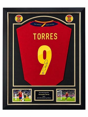 Spain - Wereldkampioenschap Voetbal - Fernando Torres - 2011, Nieuw