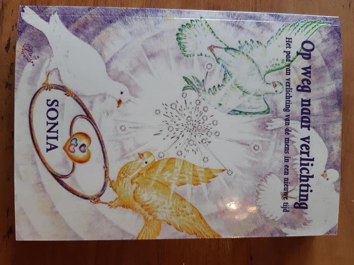 Op weg naar verlichting - Stef Bos 9789075343489, Boeken, Esoterie en Spiritualiteit, Zo goed als nieuw, Verzenden