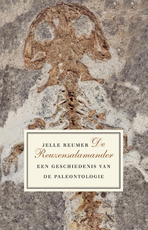De Reuzensalamander 9789088031410 Jelle Reumer, Boeken, Overige Boeken, Nieuw, Ophalen of Verzenden